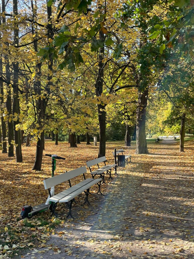 477004948 1019676233529218 8224363056253953994 n